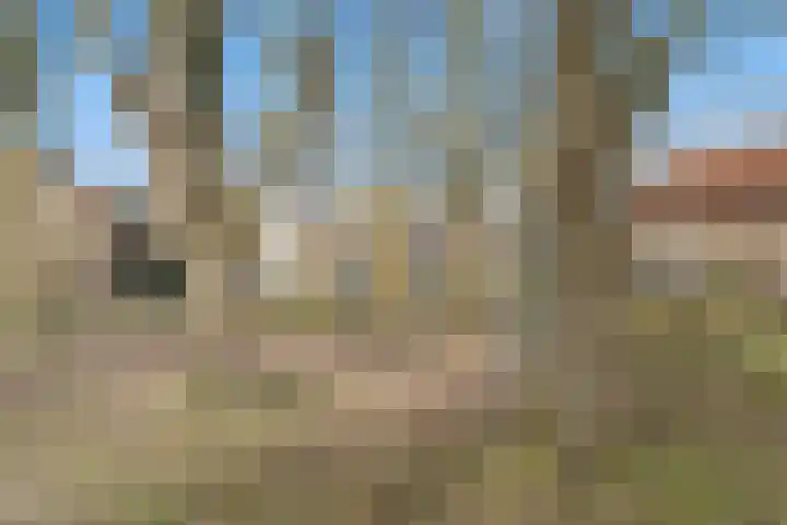 Fagotpad 8 Amersfoort thumbnail 53