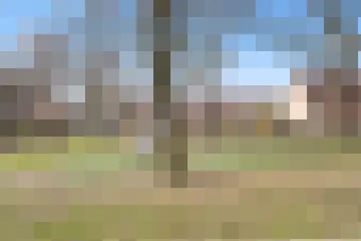Fagotpad 8 Amersfoort thumbnail 54