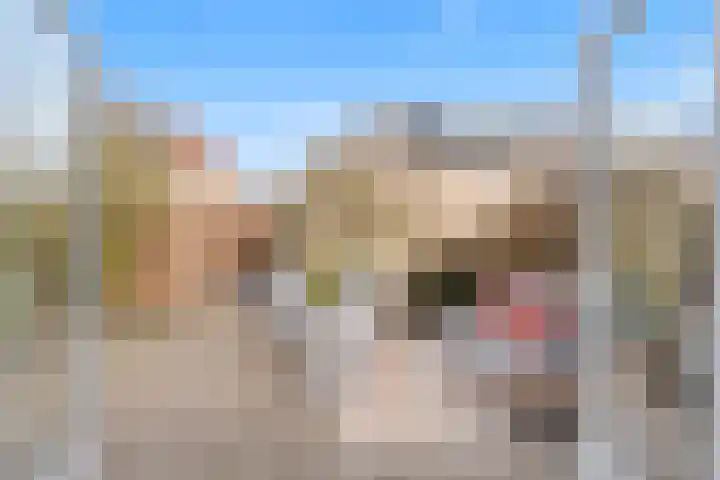 Fagotpad 8 Amersfoort thumbnail 7