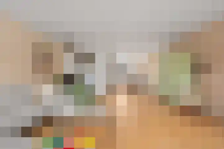 Fagotpad 8 Amersfoort thumbnail 9