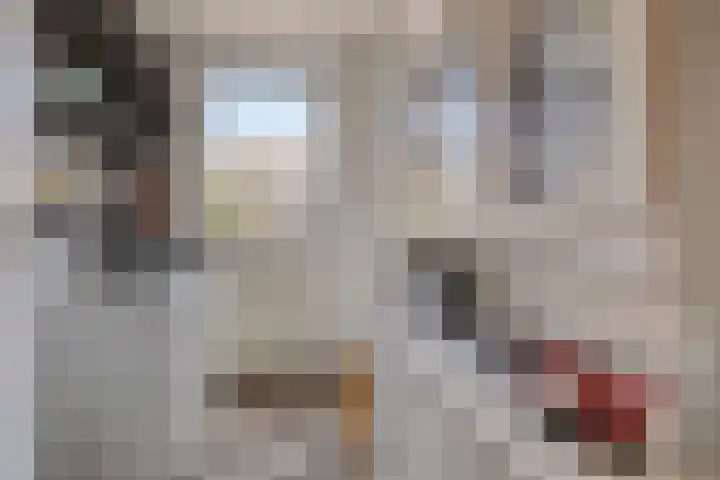 Fagotstraat 17 Helmond thumbnail 12