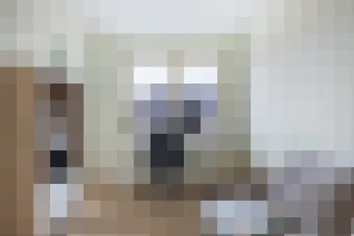 Fagotstraat 17 Sliedrecht thumbnail 34