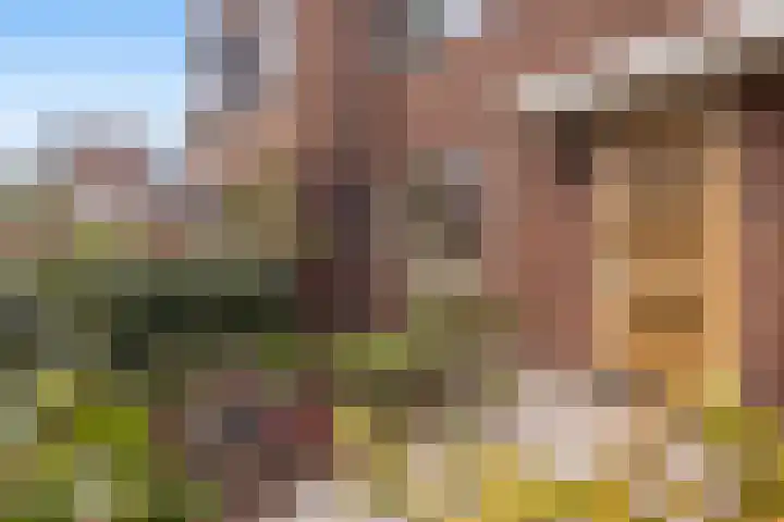 Fagotstraat 17 Sliedrecht thumbnail 8