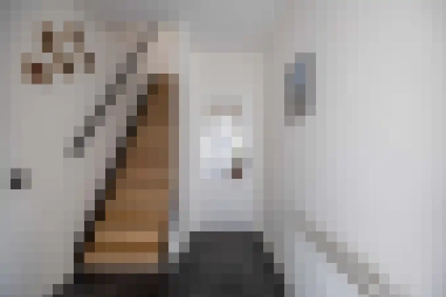 Fagotstraat 21 Venray thumbnail 8