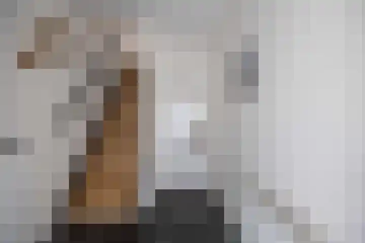 Fagotstraat 21 Venray thumbnail 8