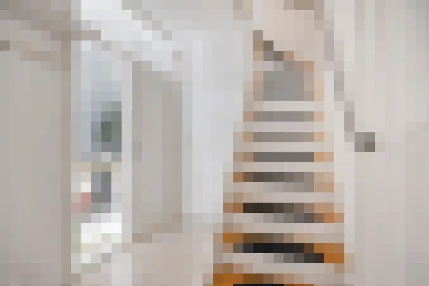 Fagotstraat 22 Helmond thumbnail 6