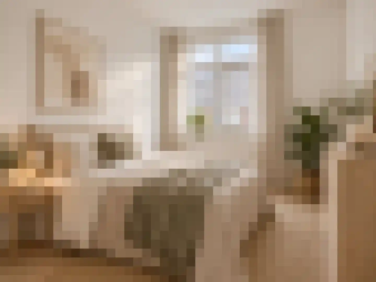 Fagotstraat 27 Eindhoven thumbnail 21