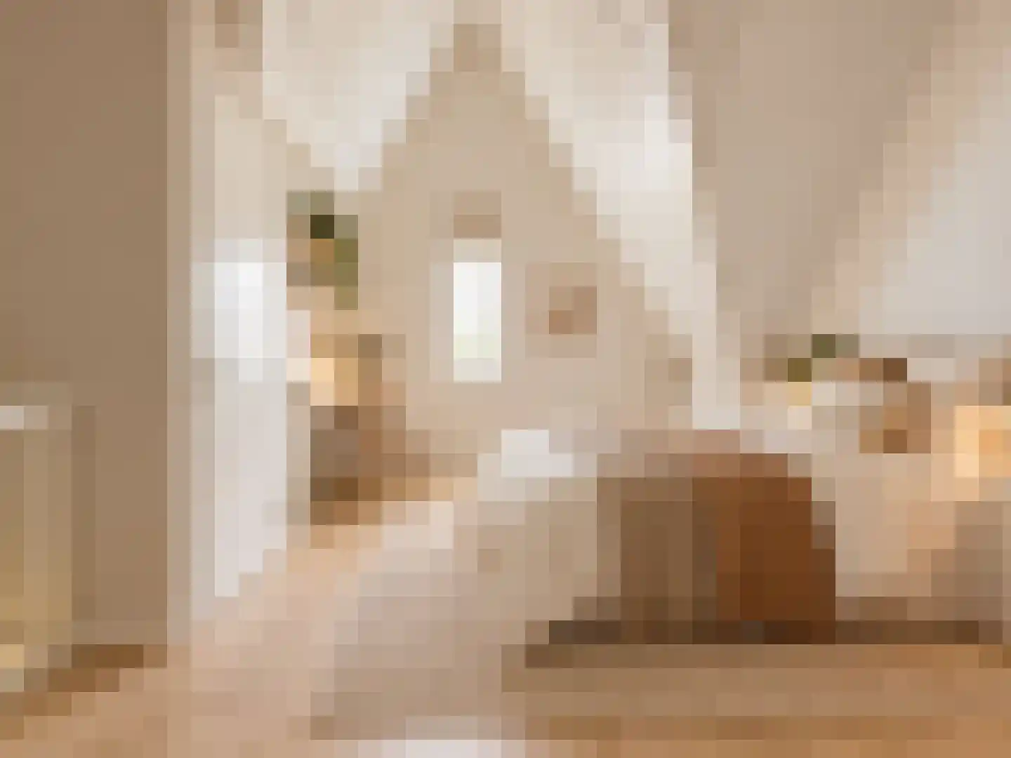 Fagotstraat 27 Eindhoven thumbnail 28