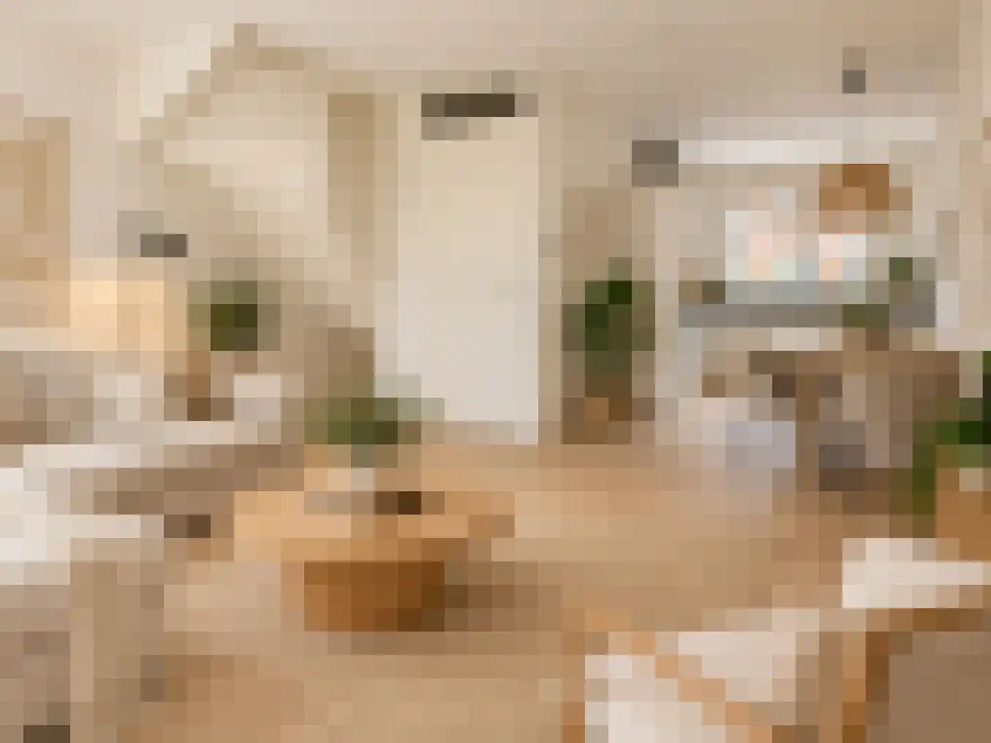 Fagotstraat 27 Eindhoven thumbnail 8