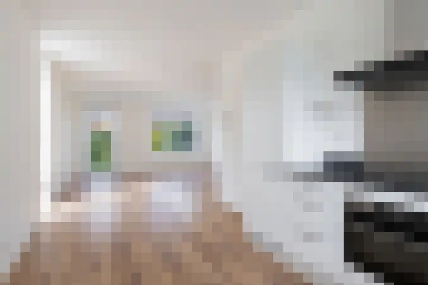 Fagotstraat 31 Eindhoven thumbnail 12