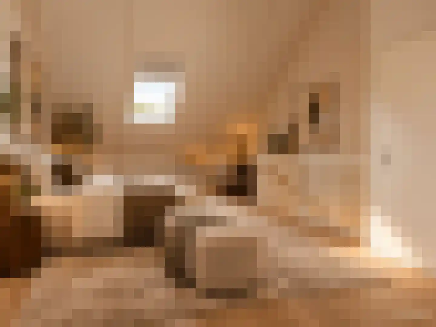 Fagotstraat 31 Eindhoven thumbnail 24