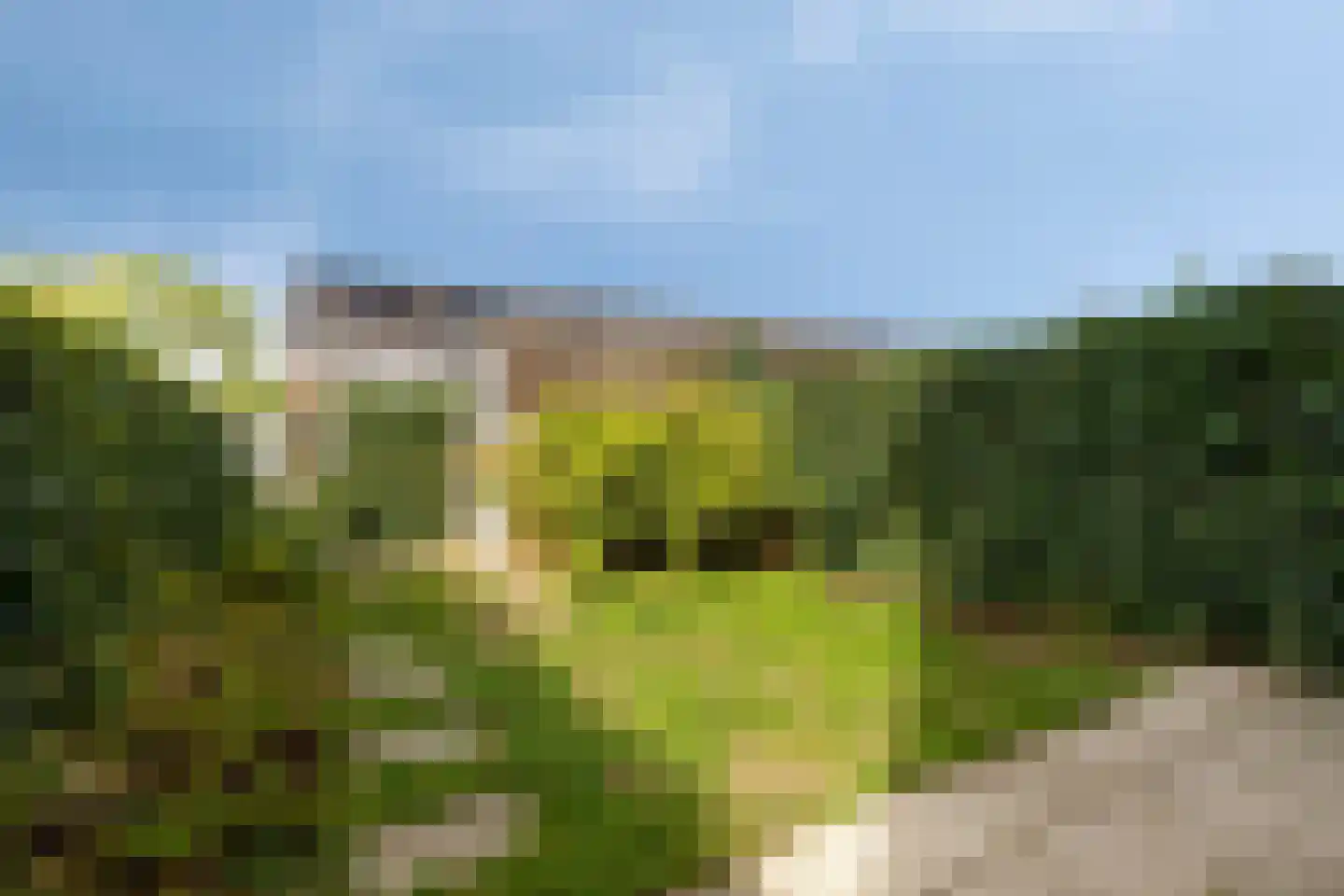 Fagotstraat 31 Eindhoven thumbnail 27