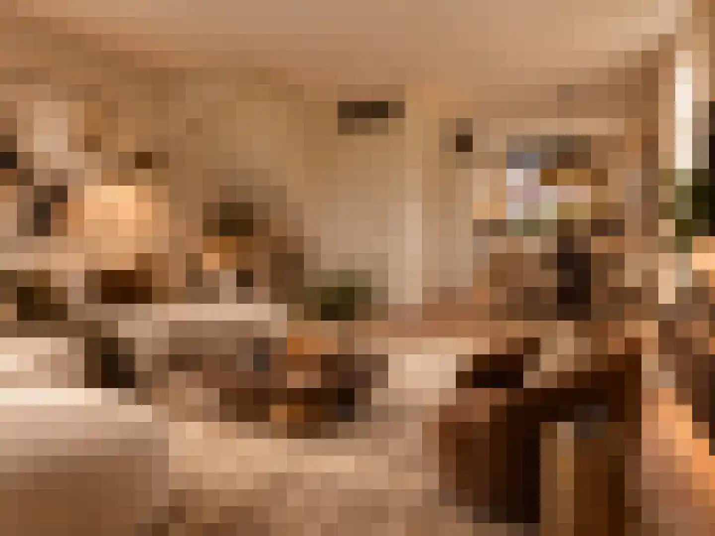 Fagotstraat 31 Eindhoven thumbnail 6