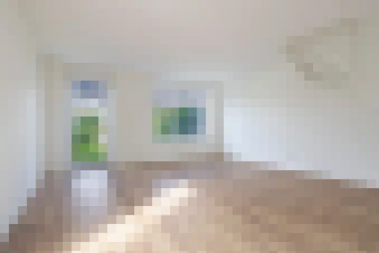 Fagotstraat 31 Eindhoven thumbnail 8