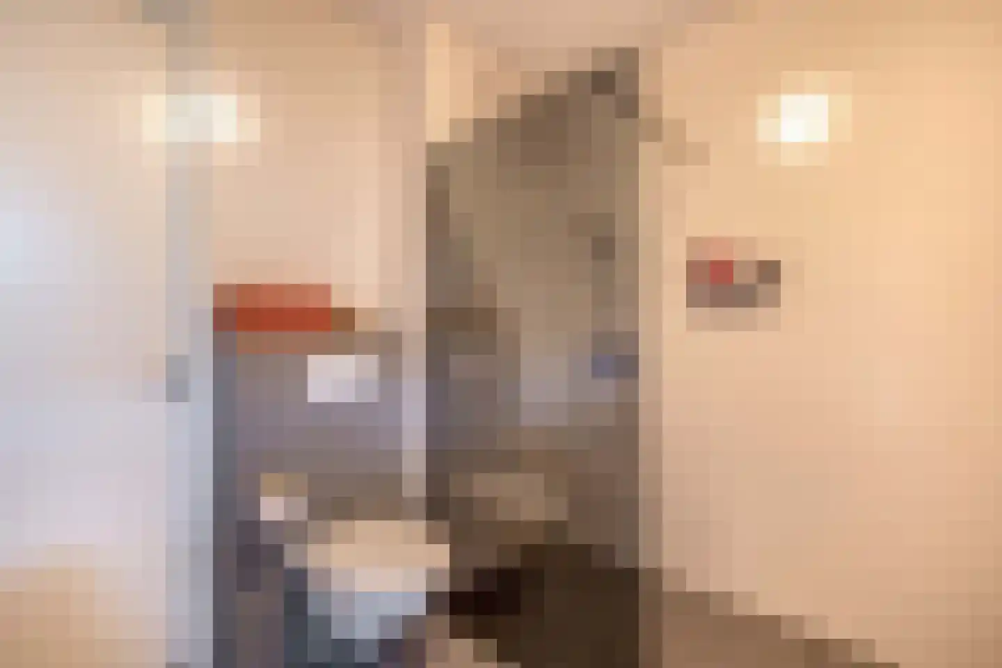 Fagotstraat 36 Eindhoven thumbnail 26