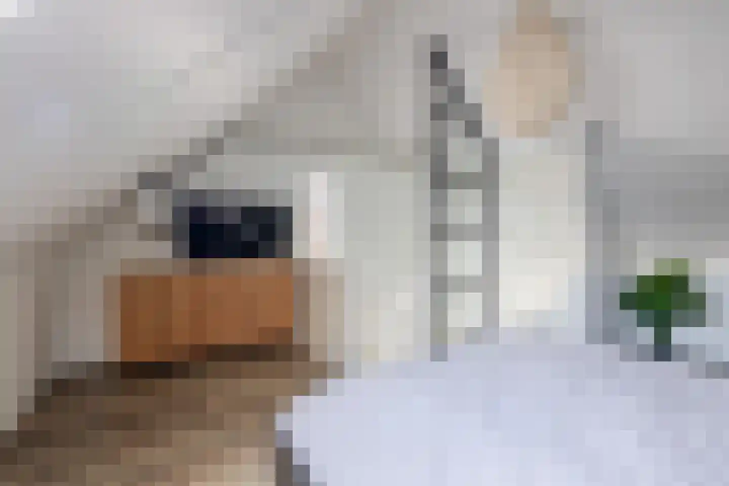 Fagotstraat 36 Eindhoven thumbnail 29