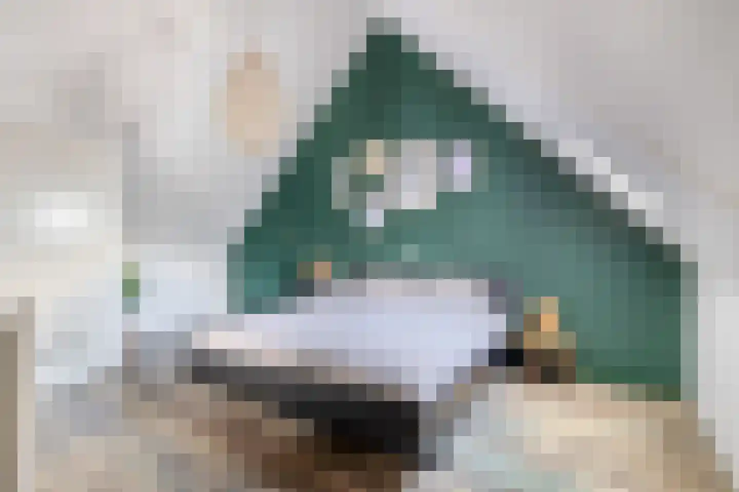Fagotstraat 36 Eindhoven thumbnail 30