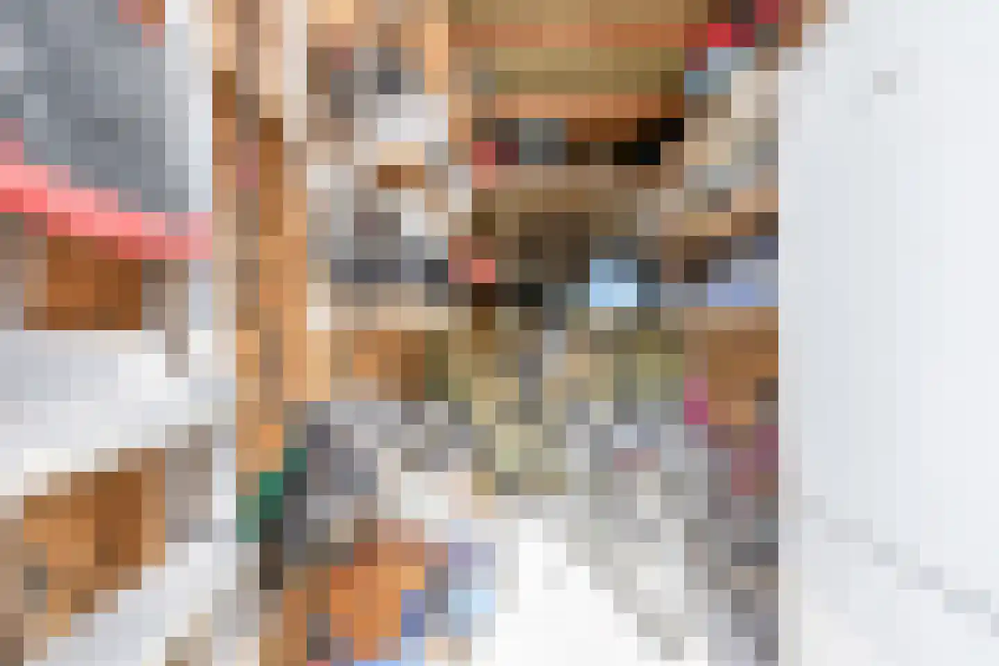 Fagotstraat 36 Eindhoven thumbnail 31