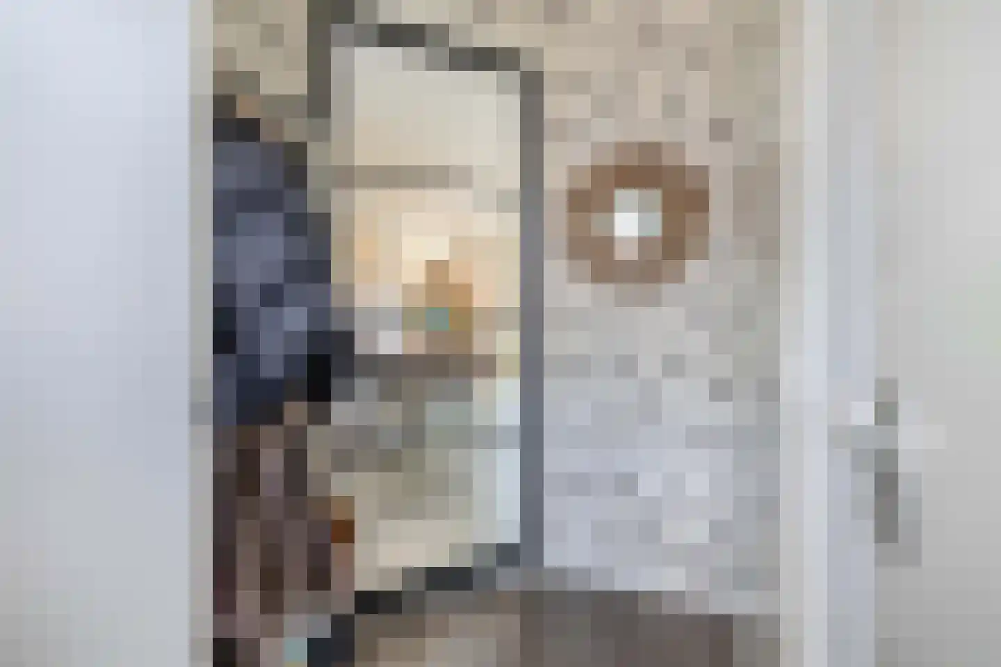 Fagotstraat 36 Eindhoven thumbnail 8