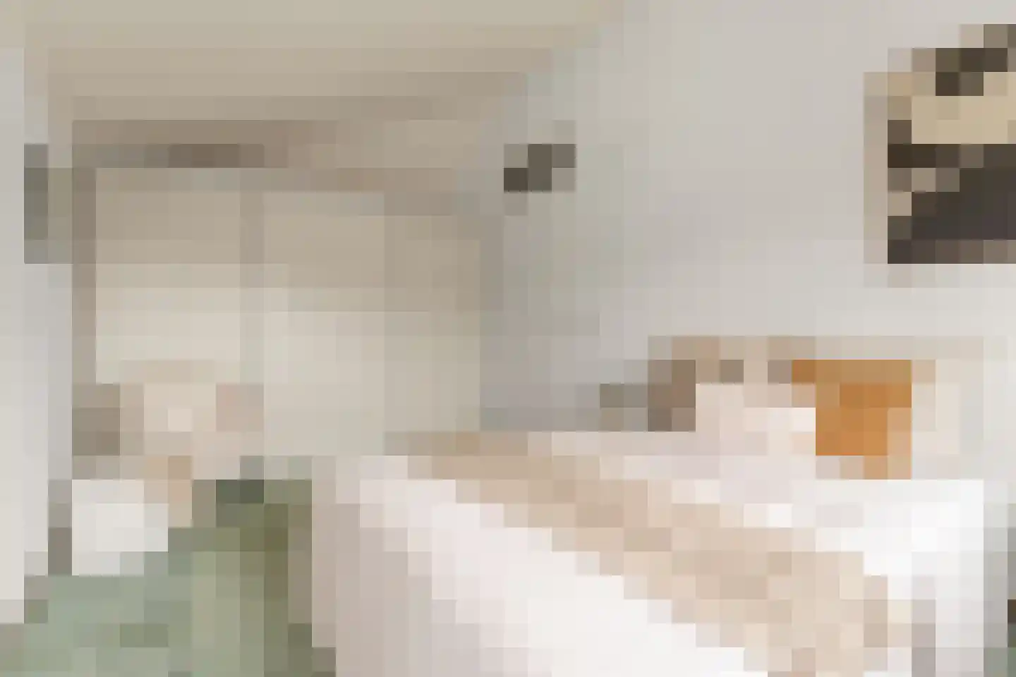 Fahrenheit 7 De Meern thumbnail 21