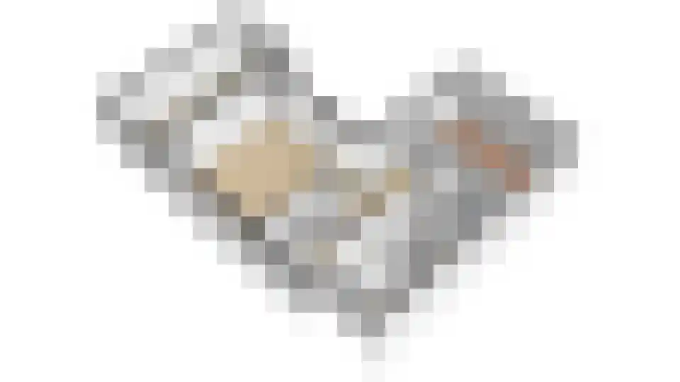 Fahrenheit 7 De Meern thumbnail 32