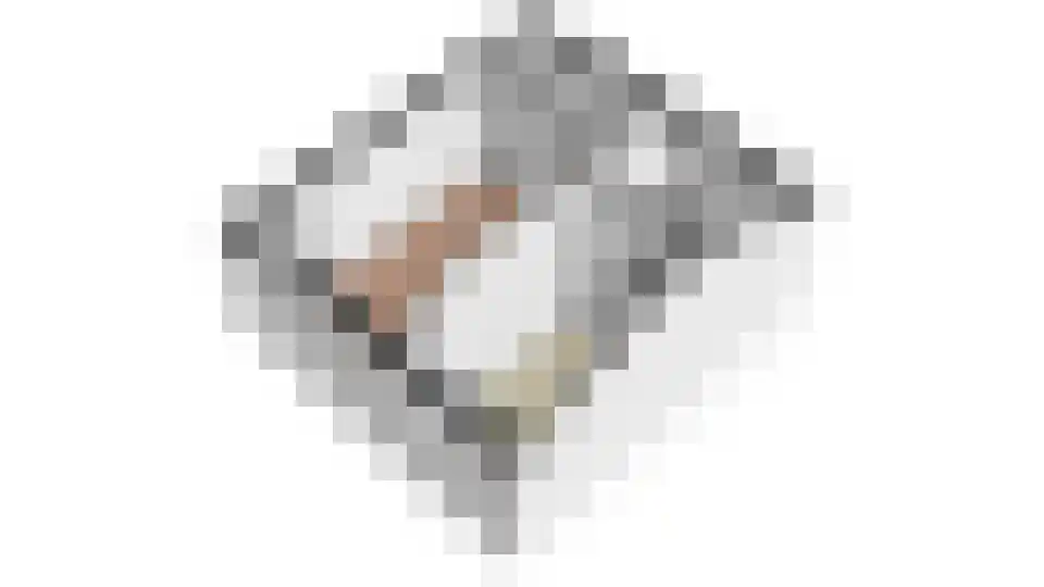 Fahrenheit 7 De Meern thumbnail 35