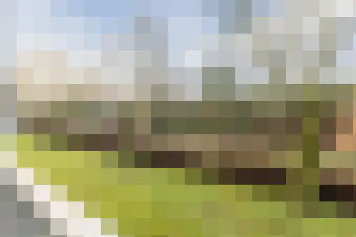 Fahrenheitlaan 16 Utrecht thumbnail 12