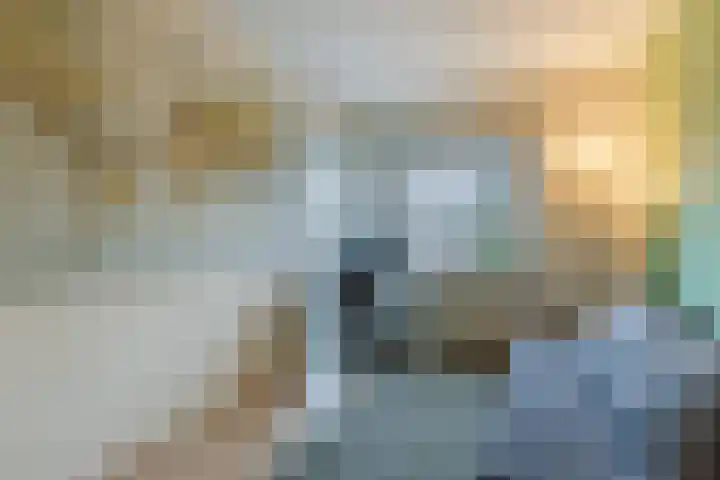 Fahrenheitlaan 16 Utrecht thumbnail 21