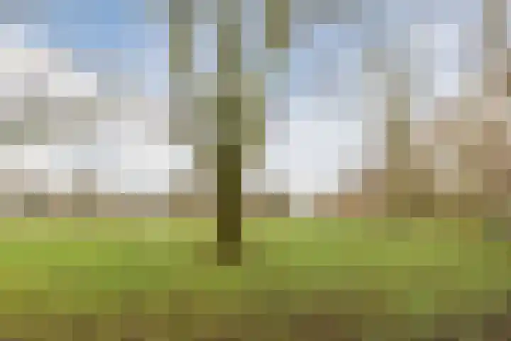 Fahrenheitlaan 16 Utrecht thumbnail 34