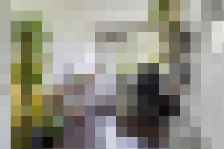 Fahrenheitlaan 18 3 Utrecht thumbnail 12