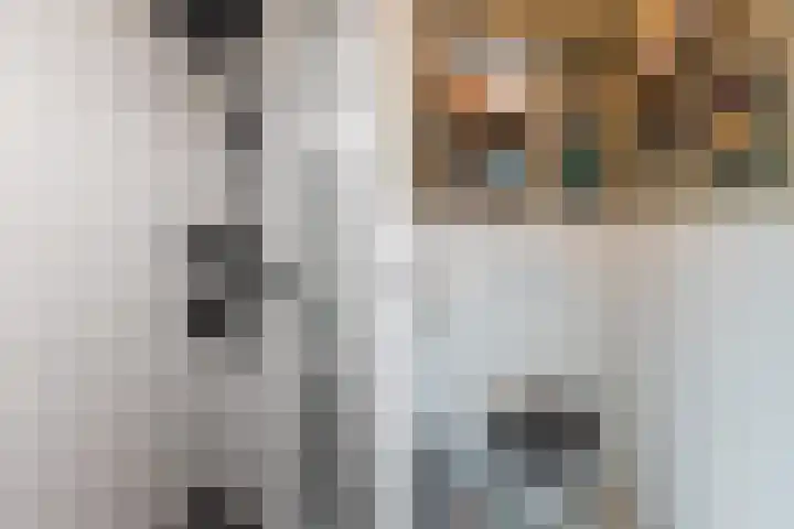 Fahrenheitlaan 18 3 Utrecht thumbnail 17