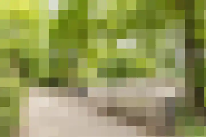 Fahrenheitlaan 18 3 Utrecht thumbnail 28