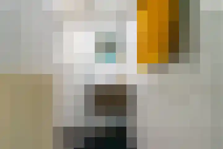 Fahrenheitlaan 18 3 Utrecht thumbnail 29