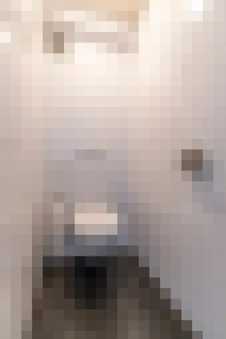 Fahrenheitlaan 18 3 Utrecht thumbnail 31