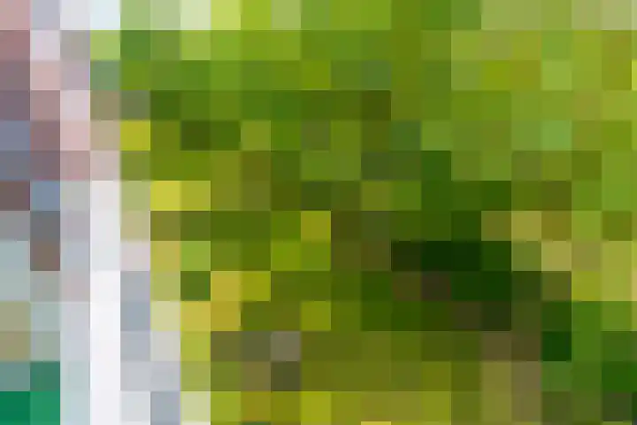 Fahrenheitlaan 18 3 Utrecht thumbnail 4