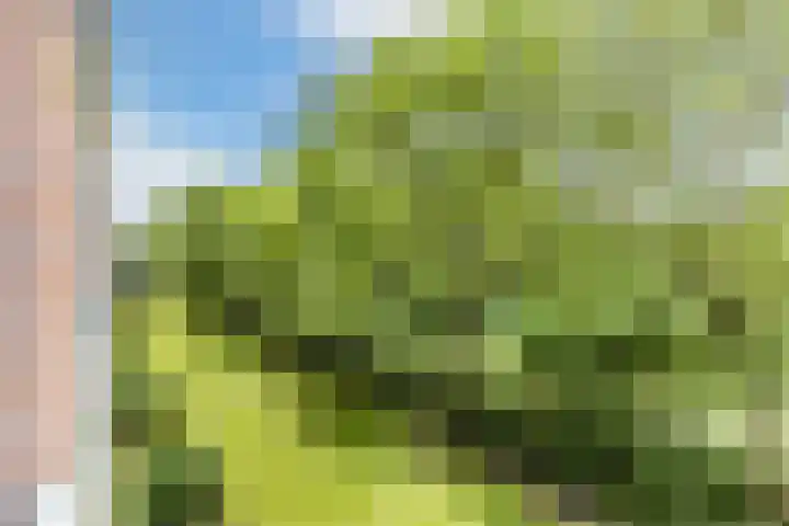 Fahrenheitlaan 18 3 Utrecht thumbnail 4