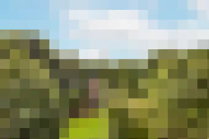 Fahrenheitlaan 2 1 Utrecht thumbnail 14