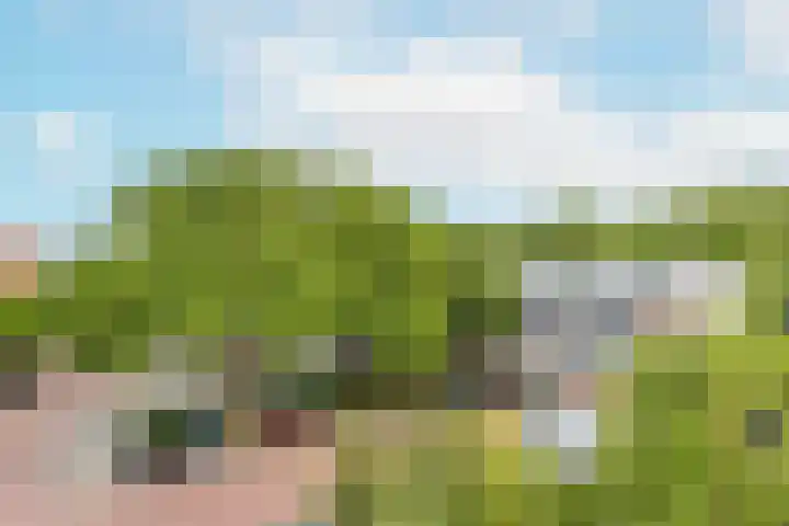 Fahrenheitlaan 2 1 Utrecht thumbnail 25