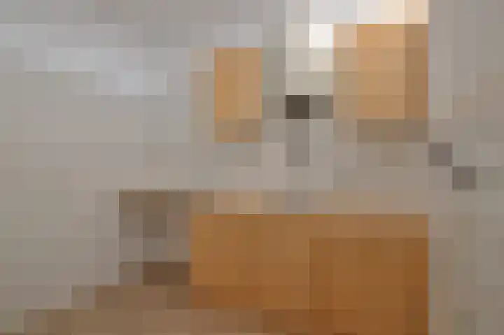 Fahrenheitlaan 422 Terneuzen thumbnail 11