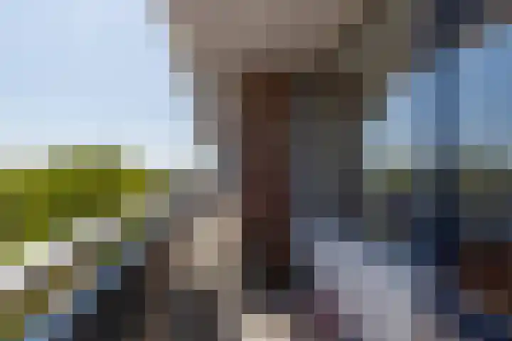 Fahrenheitlaan 422 Terneuzen thumbnail 15