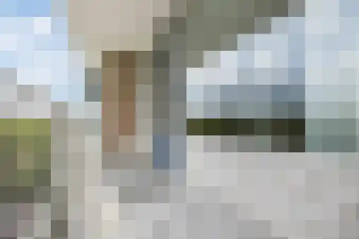 Fahrenheitlaan 490 Terneuzen thumbnail 12