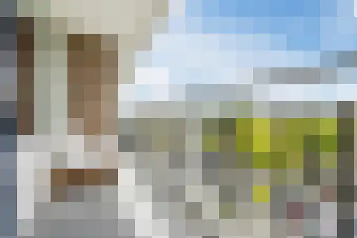 Fahrenheitlaan 490 Terneuzen thumbnail 13