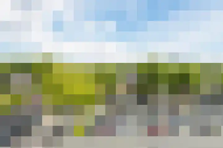 Fahrenheitlaan 490 Terneuzen thumbnail 14