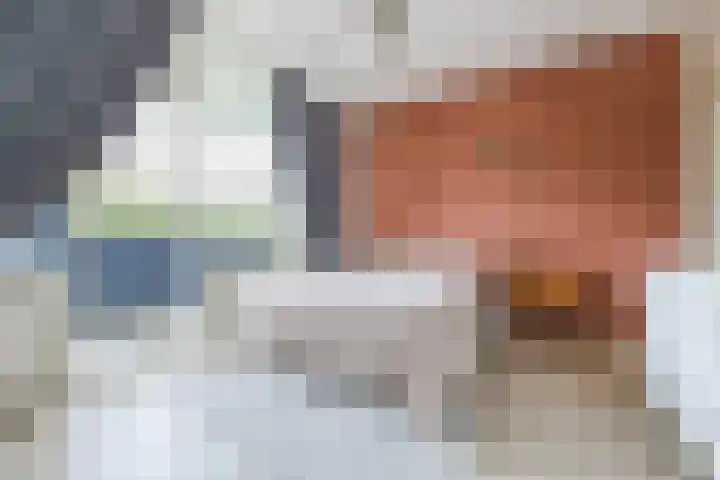 Fahrenheitlaan 490 Terneuzen thumbnail 18