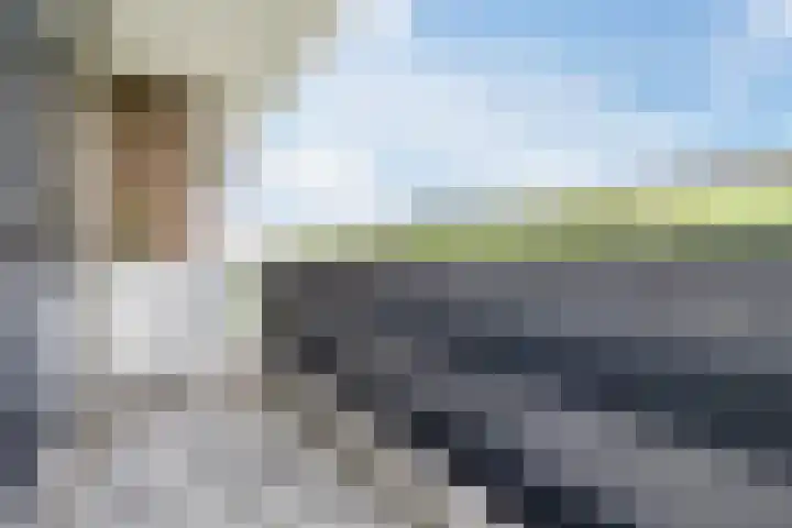 Fahrenheitlaan 490 Terneuzen thumbnail 22