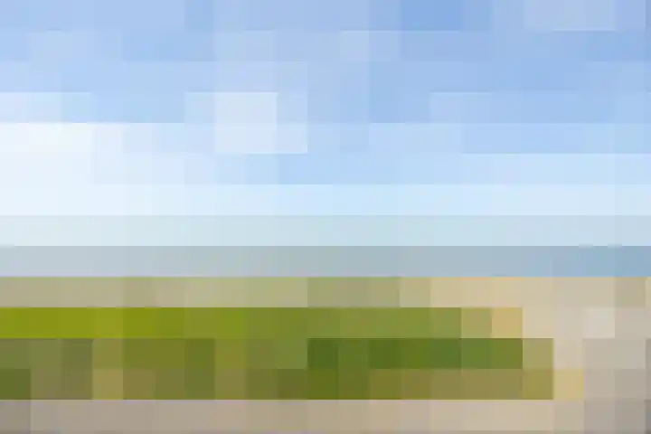 Fahrenheitlaan 490 Terneuzen thumbnail 24