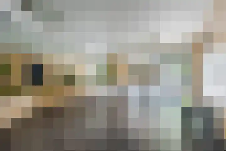 Fahrenheitlaan 490 Terneuzen thumbnail 5