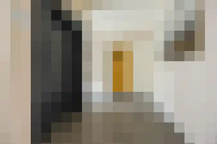 Fahrenheitlaan 490 Terneuzen thumbnail 6