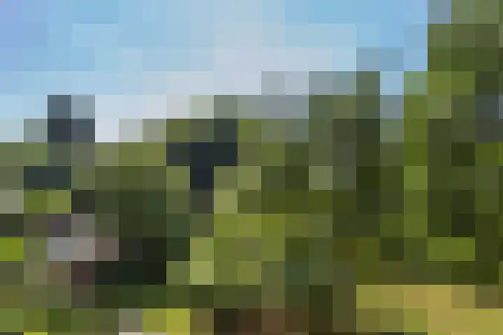 Fahrenheitlaan 6 2 Utrecht thumbnail 10