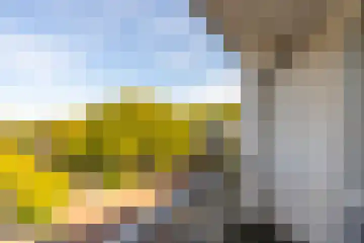 Fahrenheitlaan 6 3 Utrecht thumbnail 10